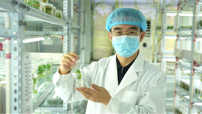 2121�Ƿ���(�й���)�����ٷ���վ