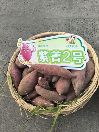 2121�Ƿ���(�й���)�����ٷ���վ