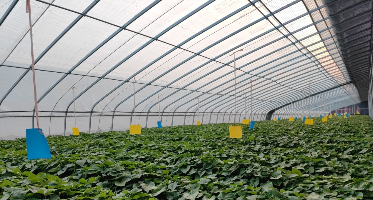 2121�Ƿ���(�й���)�����ٷ���վ